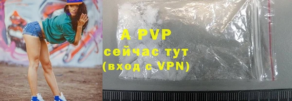 a pvp Абаза